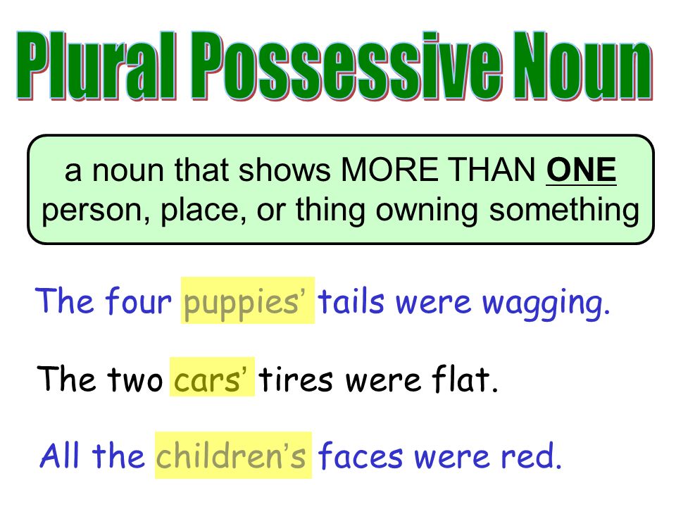 plural possessive ending in s